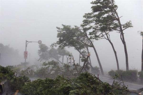 史上最强台风山竹后汽车保险理赔知多少