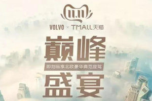 为了您的双11，我们沃尔沃真是操碎了心