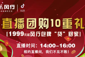 南京东风风行直播团购10重礼