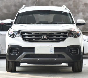 真正耐开的SUV，约1.7米比威兰达高，后独悬未见它飘，满油920km