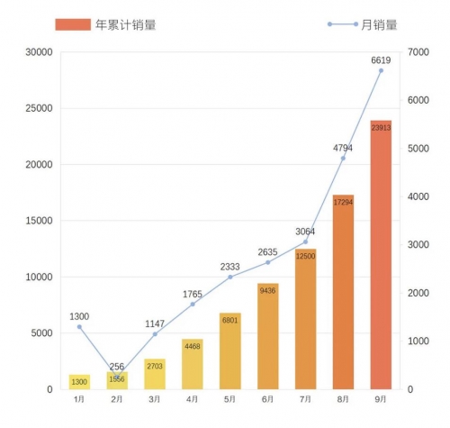 “围攻”特斯拉，国产谁能打？