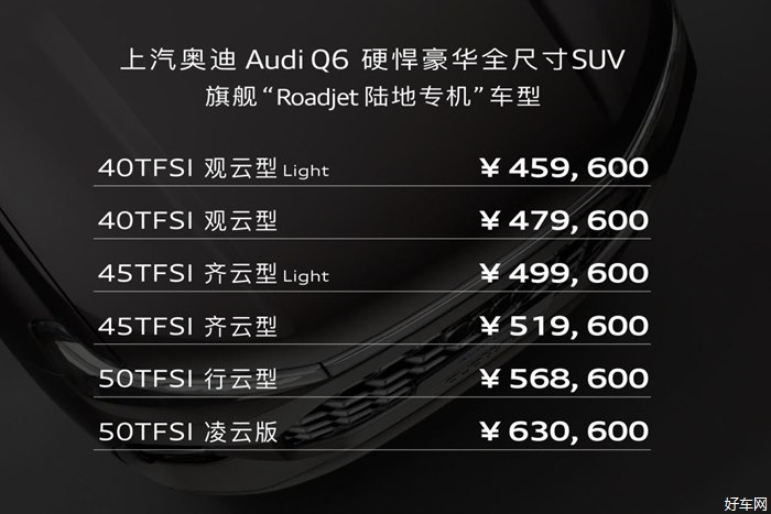 上汽奥迪Q6上市 售价45.96-63.06万元 